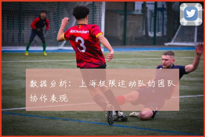 数据分析：上海极限运动队的团队协作表现