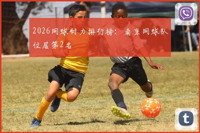 2026网球耐力排行榜：南京网球队位居第2名