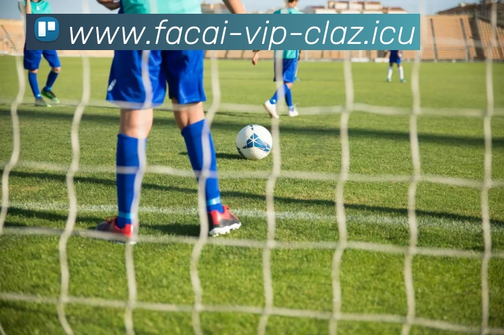 MK体育平台生态图